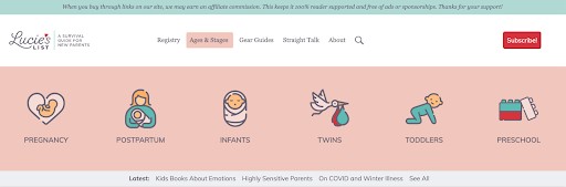 pregnancy and mom blog ecommerce
