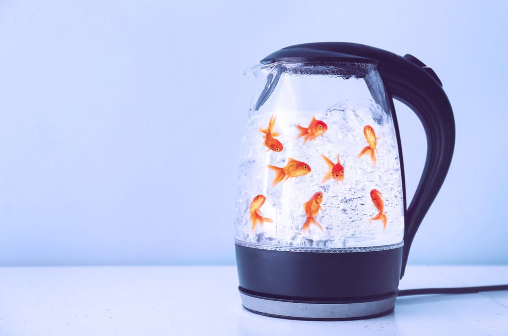 kettle with fishes